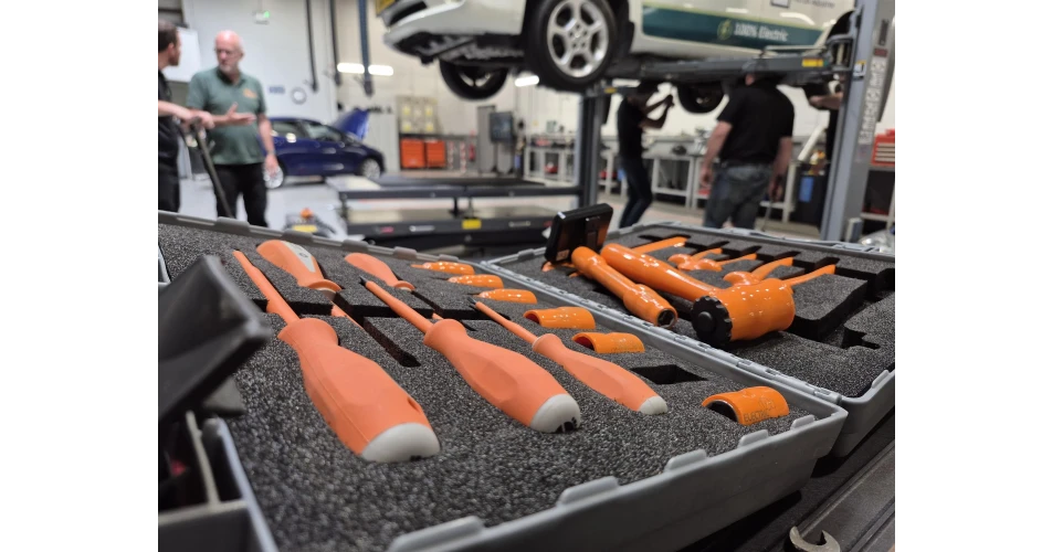Free ELVES EV Dismantling Training in Kildare and Monaghan