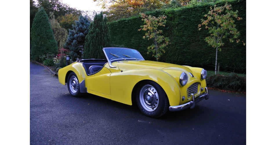 RIAC National Classic Car Show returns to RDS