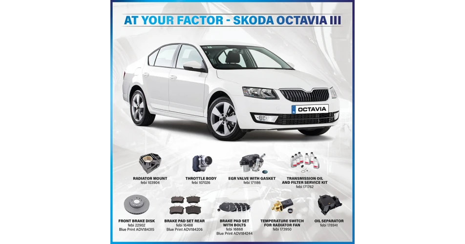 At Your Factor - SKODA Octavia 111