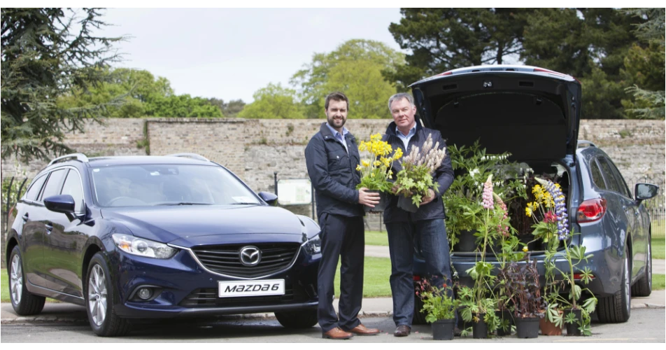 Mazda in full Bloom!