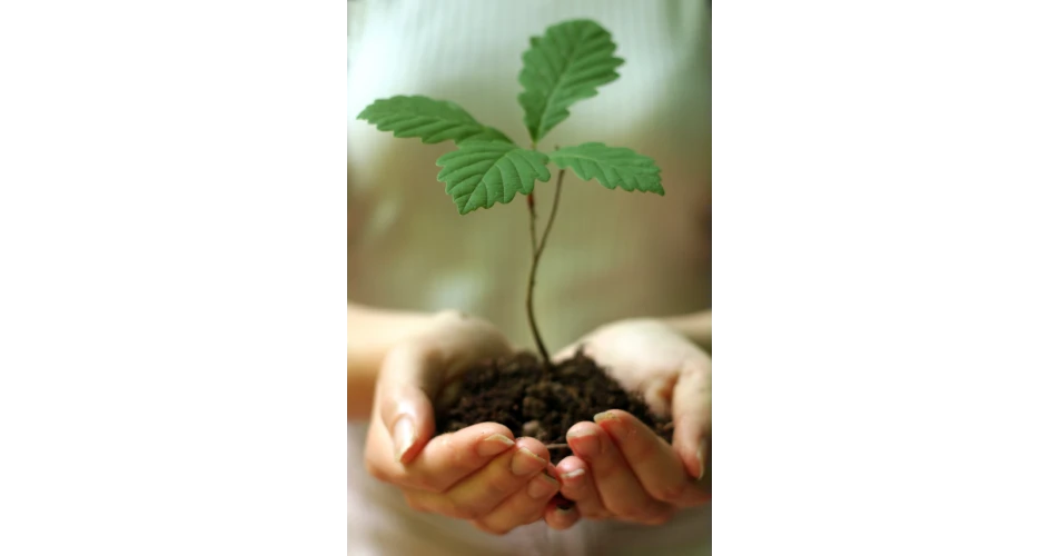 Enterprise help to plant One Million Trees in One Day