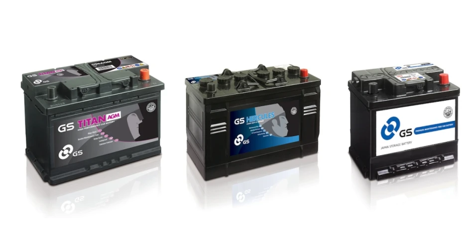 Serfac distributor for GS Batteries
