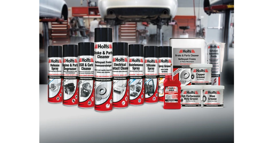 Test new innovations first with the Holts Professional Panel