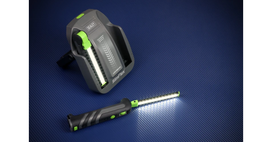 Win Rechargeable Inspection Lamp / Floodlight Kit from Sealey