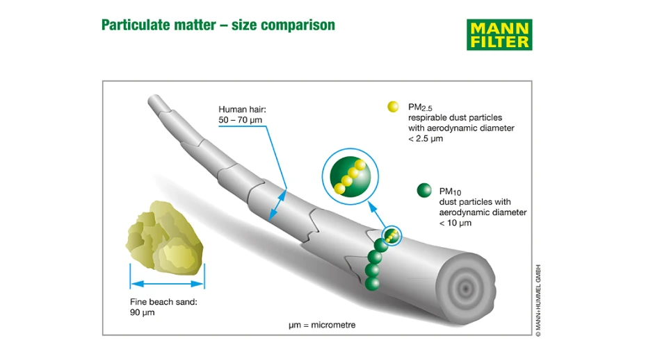 pm size comparison