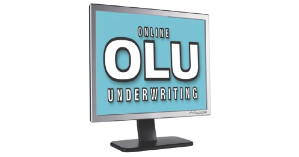 Online underwriting system