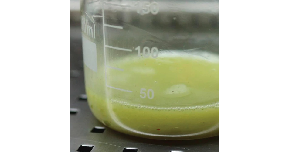 Additives can be harmful to AC lubricants