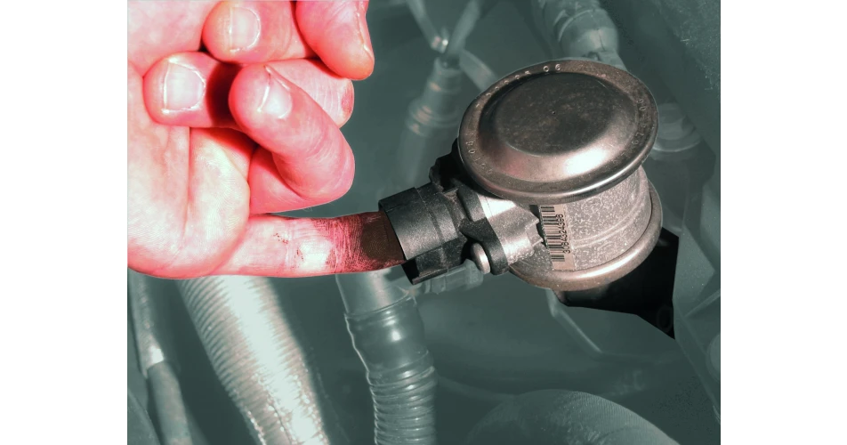 Quick inspection of secondary air valves