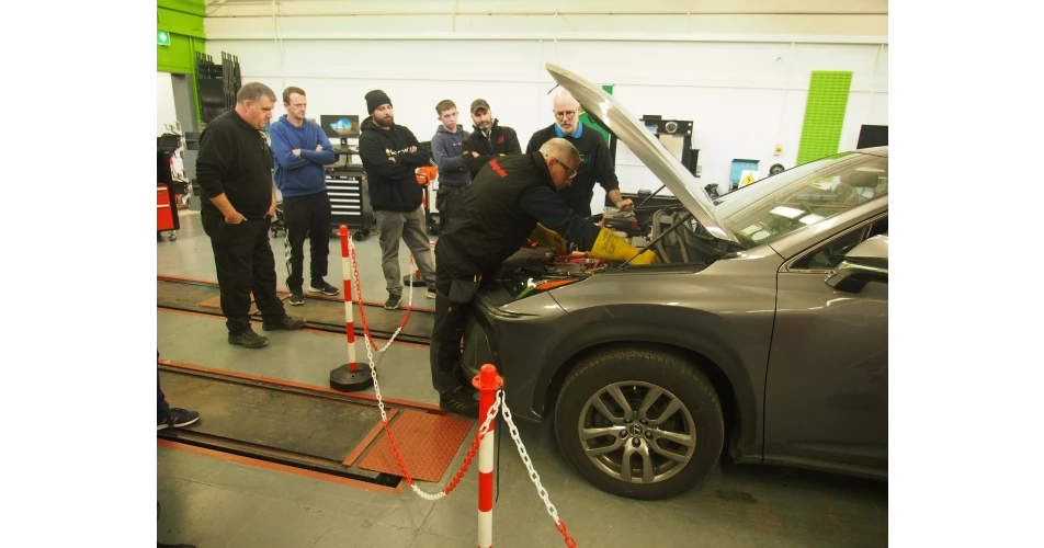 TUS Limerick hosts ELVES Electric Vehicle Dismantling training&nbsp;
