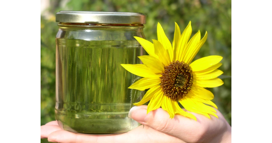 Alert over freezing biodiesel