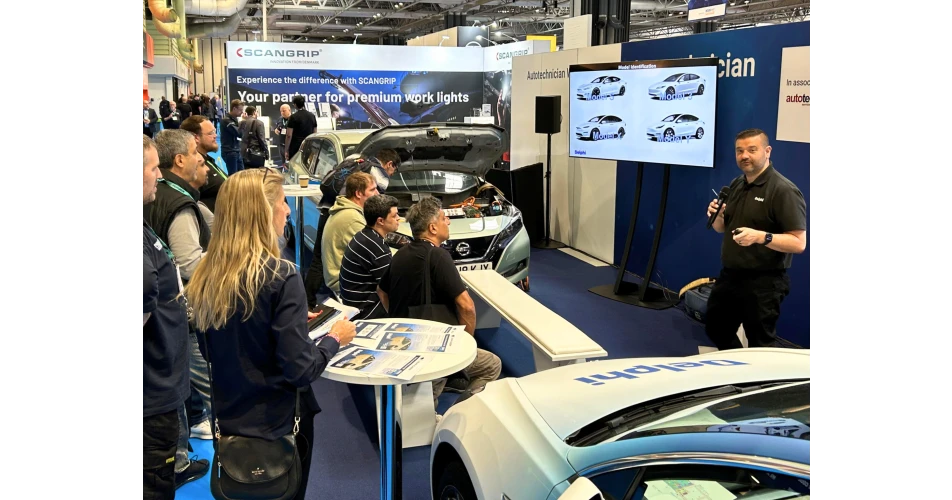Independent garages risk missing out on Tesla servicing warns Delphi
