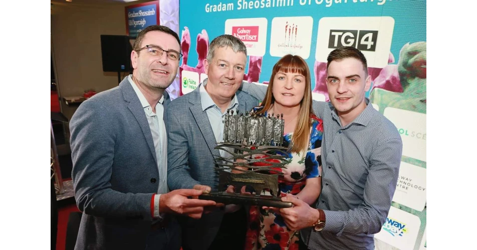 KD AUTOPARTS winners of the Gradam Sheosaimh Uí Ógartaigh 2022 