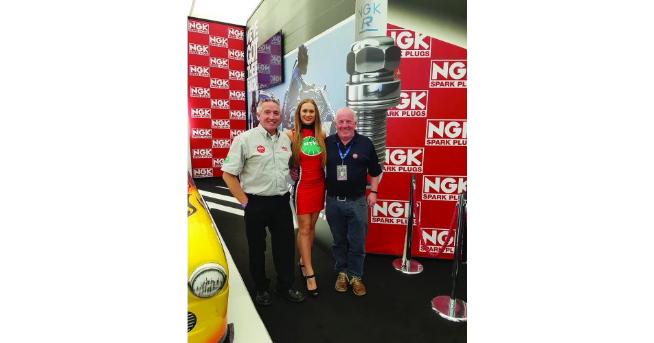 Irish visitors flock to Festival of Speed