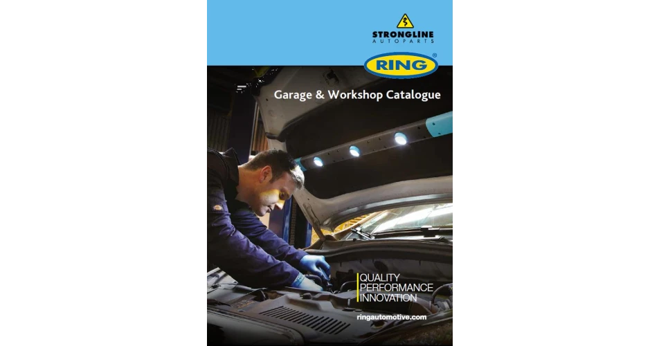 Garage and Workshop Catalogue provides essential information on the Ring range 
