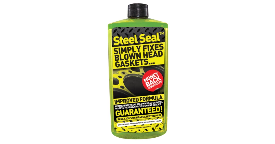 Guaranteed gasket repair in a bottle 