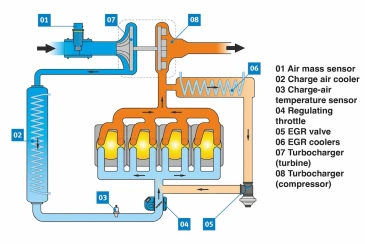 Creeping & constant coolant loss 