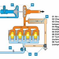 Creeping & constant coolant loss 